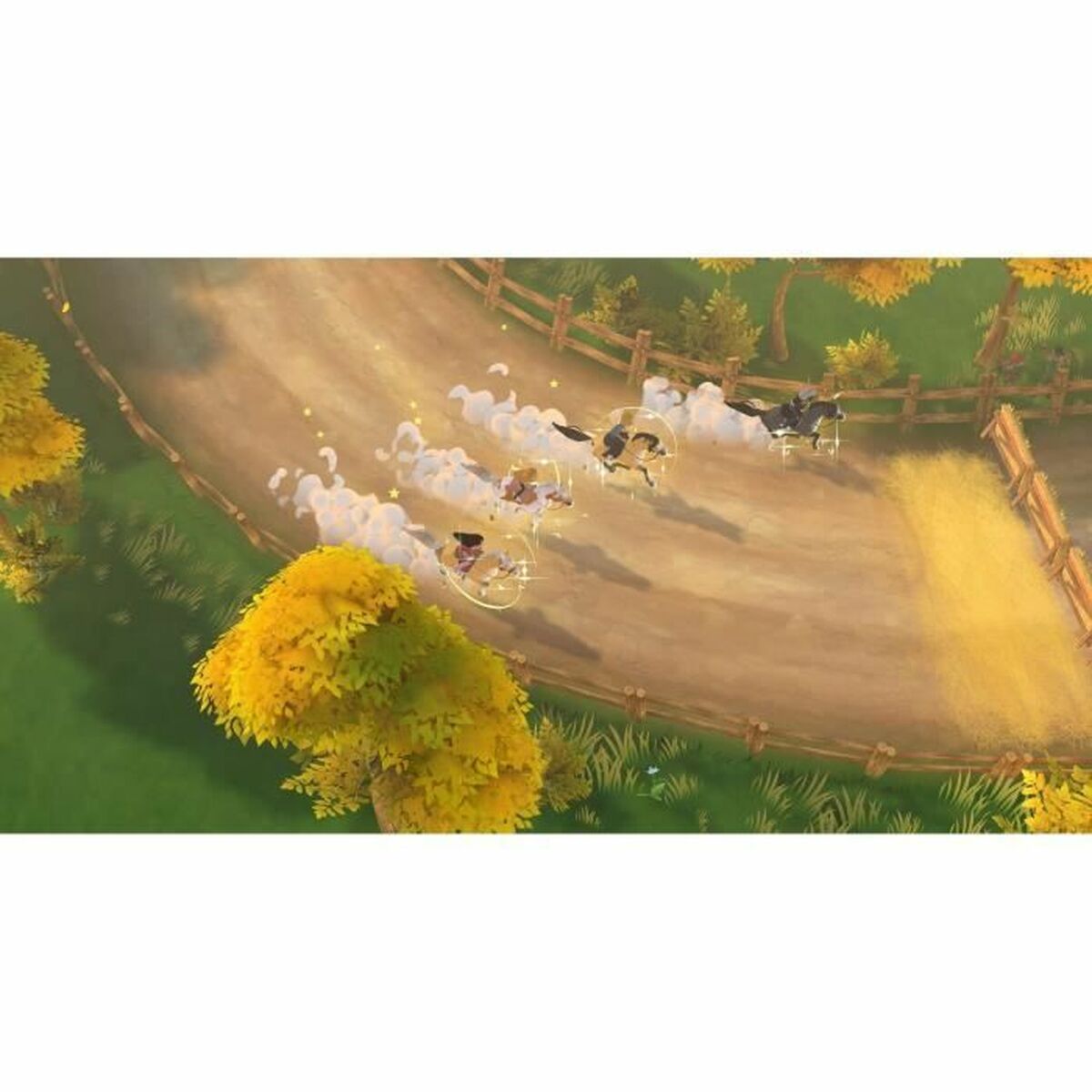 Videospil til Switch Microids Les Sisters 2
